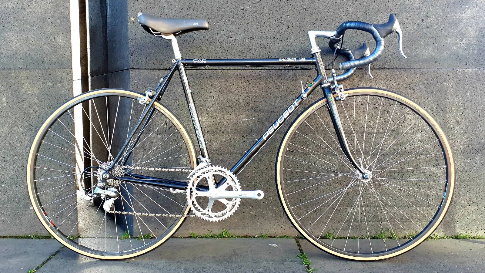 Rennrad — Nachtblau, bei der Nippeser Radkiste