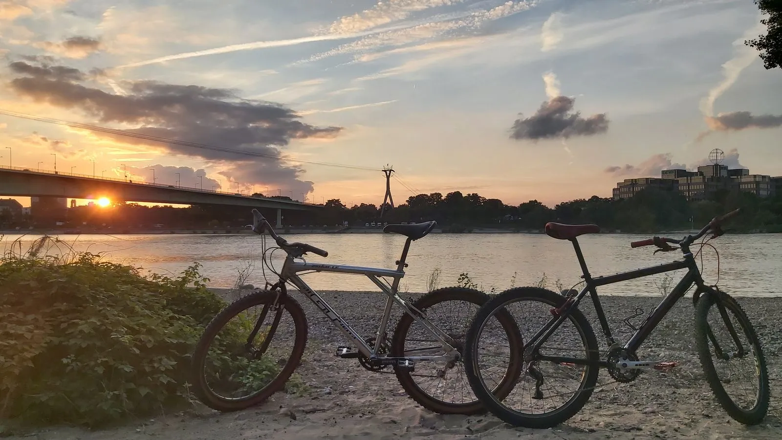 Rennrad im Abendlicht am Rhein in Köln